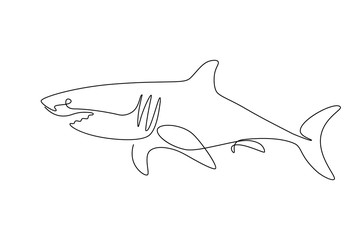 Wall Mural - Shark fish in continuous line art drawing style. Minimalist black linear sketch on white background. Vector illustration