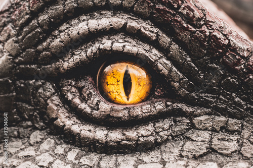 Cuadros en Lienzo Eye of the dinosaurs with terrifying.