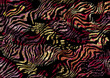 zebra skin on colorful texture