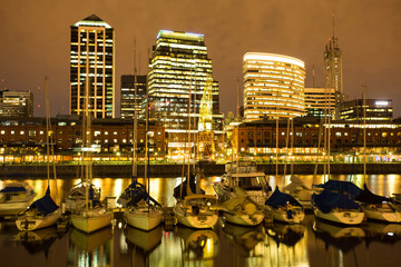 Wall Mural - View of Puerto Madero in Buenos Aires