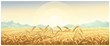 Rural landscape with wheat field with mountains and sunrise on background.