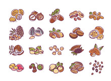 Nuts And Seeds Color Line Icons Set. Nuts Are The Hard-shelled Fruit Of Certain Plants. Seeds Are A Small Edible Plant Enclosed In A Seed Coat. Pictogram For Web Page, Mobile App. Editable Stroke.