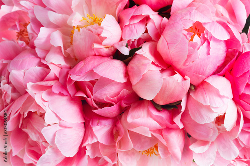 Pink floral background