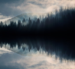 Abstract image with foggy forest that looks like sound-waves. 