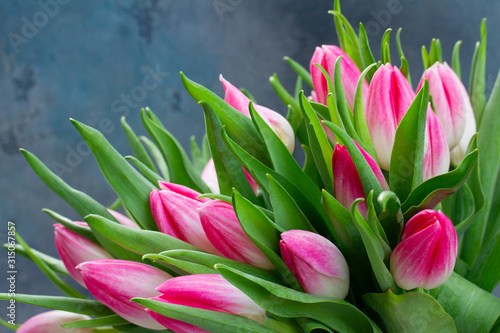 Pink fresh tulips