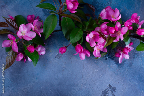 Spring tree flowers