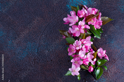 Spring tree flowers