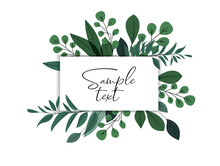 Vector Illustration Of Green Leaves. Natural Background, Invitation Card Template With Branches And Leaf Decoration.