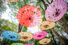 Chinese Umbrellas Free Stock Photo Public Domain Pictures chinese-umbrellas-free-stock-photo-public-domain-pictures