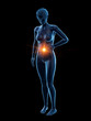 © Sebastian Kaulitzki - 3d rendered medically accurate illustration of a woman having a bellyache