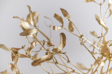 Sticker - Shiny leaves of golden mistletoe.