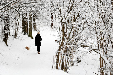 Wall Mural - Girl walking with a dog in snowy winter park. Snowfall, woman in cold weather, scenic landscape