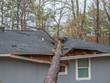 Storm damage tree on roof in Saks near Anniston, Alabama, January 11, 2020