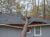 Fototapeta Na ścianę - Storm damage tree on roof in Saks near Anniston, Alabama, January 11, 2020