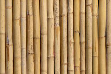  Bamboo trunk background and texture