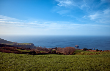 Canvas Print - Landscape with green grass and the ocean.  Sao Miguel Island is the largest island in the Portuguese archipelago of the Azore.