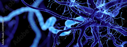 Fotomural 3d rendered illustration of a human nerve cell