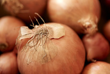 Still Life Close Up Full Frame Fresh, Organic, Healthy, Rustic Onion Skin Roots
