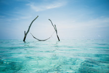 Tranquil Hammock Hanging Over Idyllic Blue Ocean, Maldives, Indian Ocean