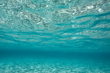 Underwater View Tranquil Blue Ocean, Vava'u, Tonga, Pacific Ocean