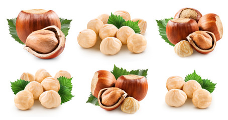 Wall Mural - Hazelnuts collection isolated on white background