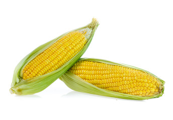 Wall Mural - Corn on white background