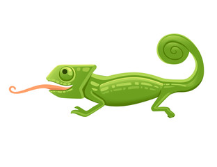 Wall Mural - Cute small green chameleon with open mouth and long tongue lizard cartoon animal design flat vector illustration isolated on white background