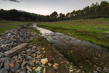 Wall Mural - Landscape with a creek, near Granadilla. Extremadura. Spain.