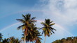 palm trees and rainbow sky crash boat beach AGUADILLA Puerto Rico