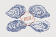 Big set of hand-drawn oysters from different foreshortening vector illustration. Seashells in engraving style on a light background. The menu design element of a fish restaurant, market or store.