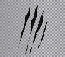 Claw Marks Of A Monster Or Wild Beast. Claws Scratches. Animals Paws, Attack Tracks. Vector Scratches On Transparent Background