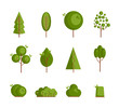© Maryna - Set of different cartoon trees on a white background. Element for ecology or nature logo. Vector illustration