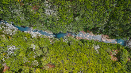 Wall Mural - Aerial drone view looking water stream running through the tall trees of the forest in 