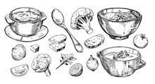 Vegetable Soup. Hand Drawn Illustration Converted To Vector