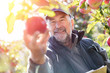 © Agnieszka Olek/Caia Image - Smiling male farmer harvesting apples in sunny orchard