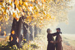 © Paul Bradbury/Caia Image - Affectionate couple in sunny autumn park