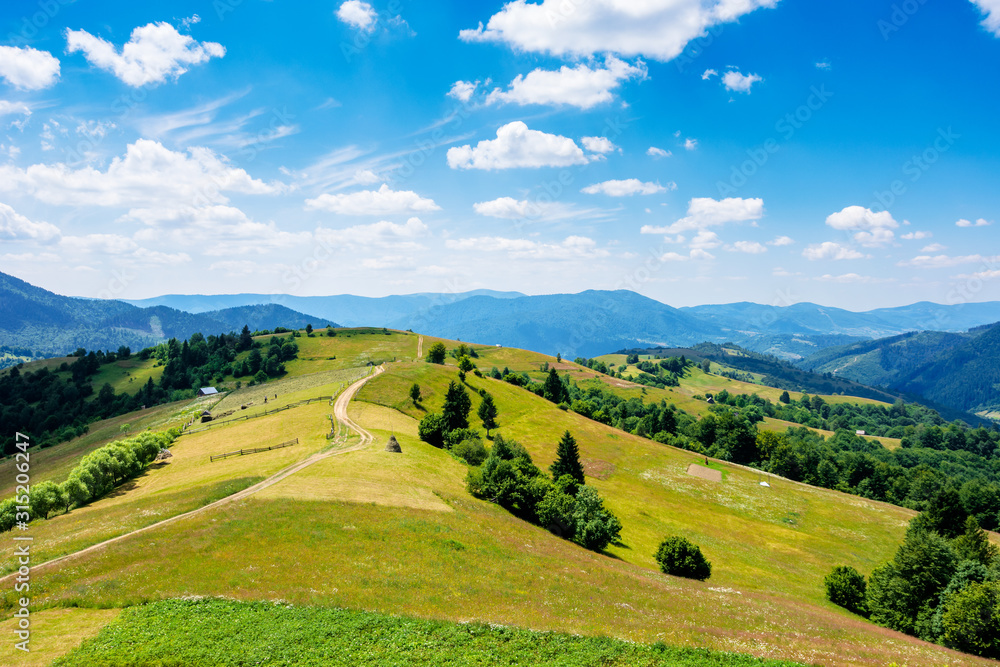 mountain rural landscape in summertime. country path winding off in to the distant ridge. rolling hills with grass fields and meadows. calm sunny weather with fluffy clouds on the blue sky - obrazy, fototapety, plakaty 