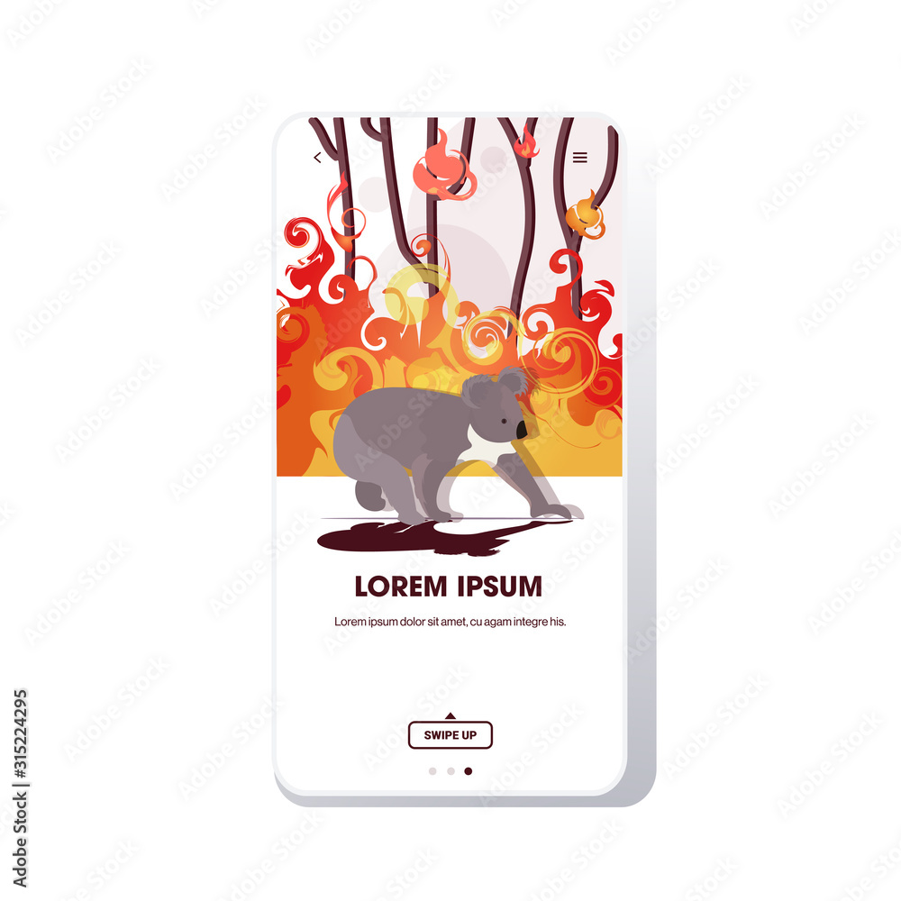 koala escaping from forest fires in australia animals dying in wildfire bushfire natural disaster concept intense orange flames smartphone screen online mobile app vector illustration - obrazy, fototapety, plakaty 