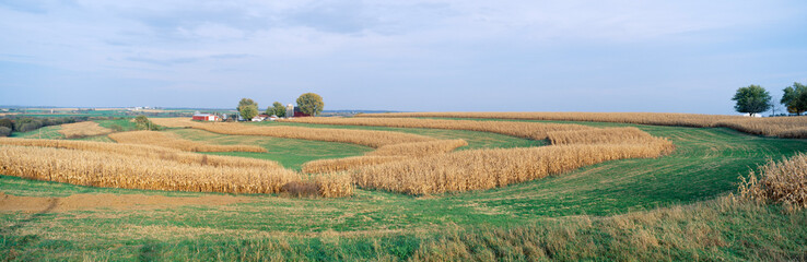 Wall Mural - Rolling Farm Fields, North of Dubuque, Iowa