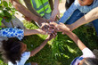 © Trevor Adeline/Caia Image - Volunteers joining hands, planting trees in park