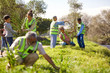 © Trevor Adeline/Caia Image - Volunteers planting trees in sunny park