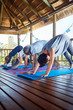 © Trevor Adeline/Caia Image - Yoga class practicing downward facing dog pose in hut during yoga retreat