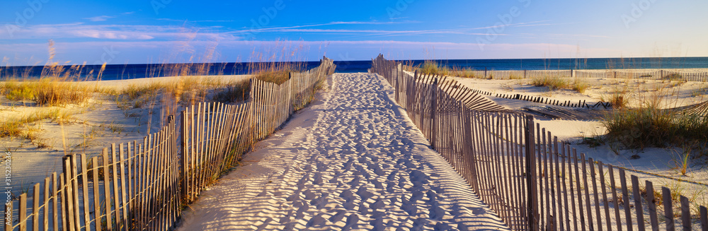 Pathway and sea oats on beach at Santa Rosa Island near Pensacola, Florida - obrazy, fototapety, plakaty 