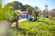 © Trevor Adeline/Caia Image - Volunteers planting trees in sunny park