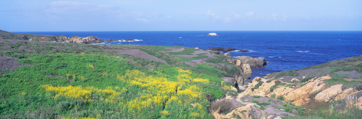 Poster - Seashore along Highway 1 in spring, Northern California