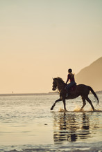 Young Woman Horseback Riding In Tranquil Sunset Ocean Surf
