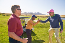 Male Golfers Celebrating On Sunny Golf Course