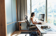 Businesswoman working at computer in home office