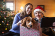 © Sam Edwards/Caia Image - Brother and sister taking selfie with dog in Christmas gift box