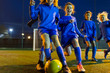 © Paul Bradbury/Caia Image - Girls soccer team practicing on field at night